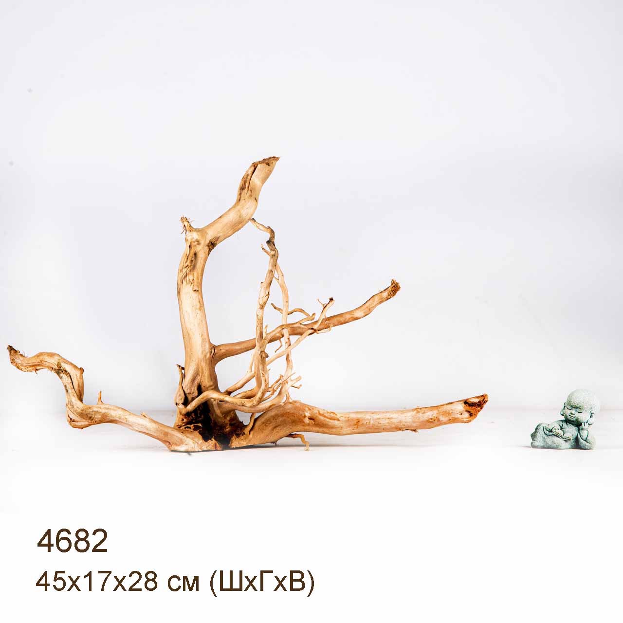 Коряга MASHA BLOOM Корень азалии M - 4682