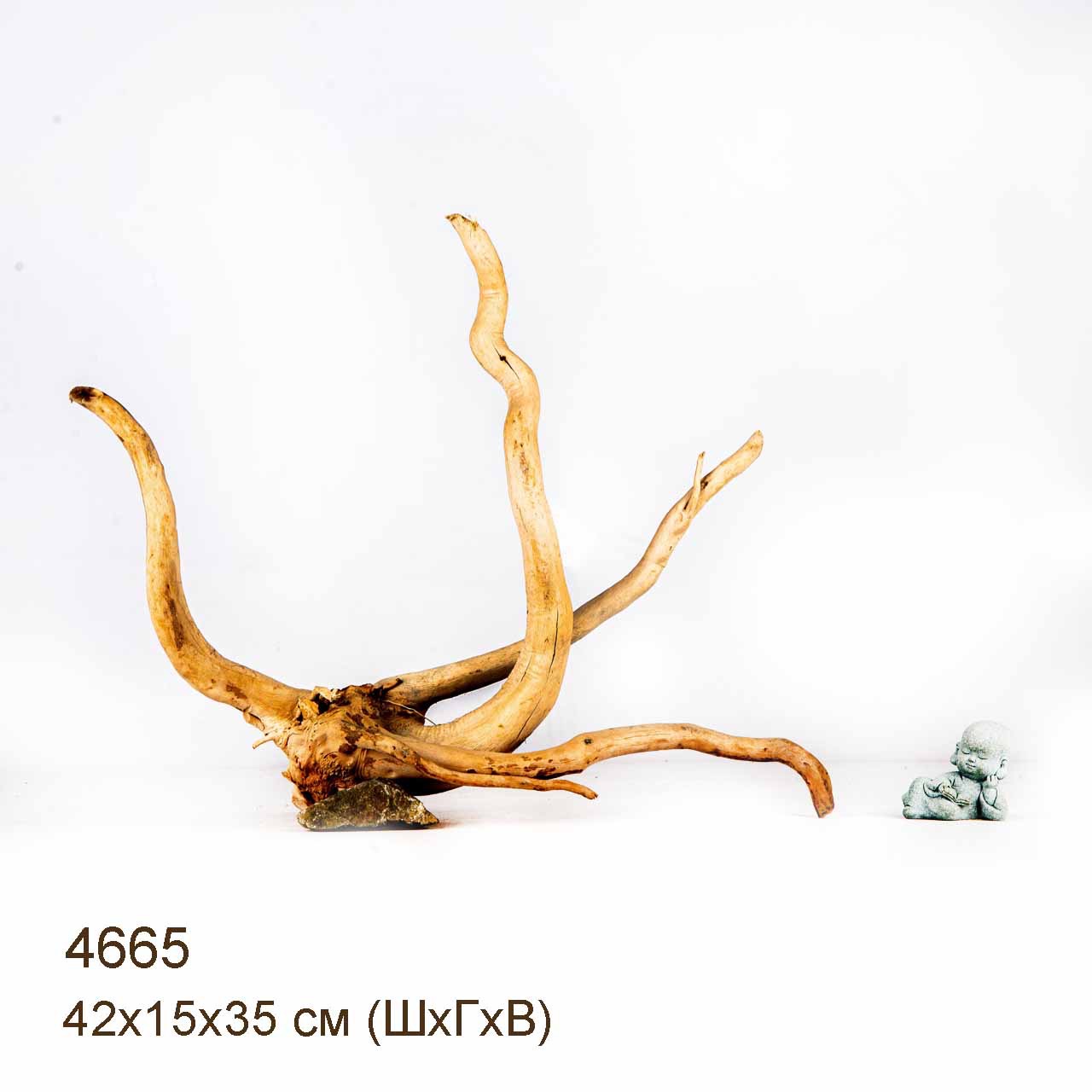 Коряга MASHA BLOOM Корень азалии M - 4665