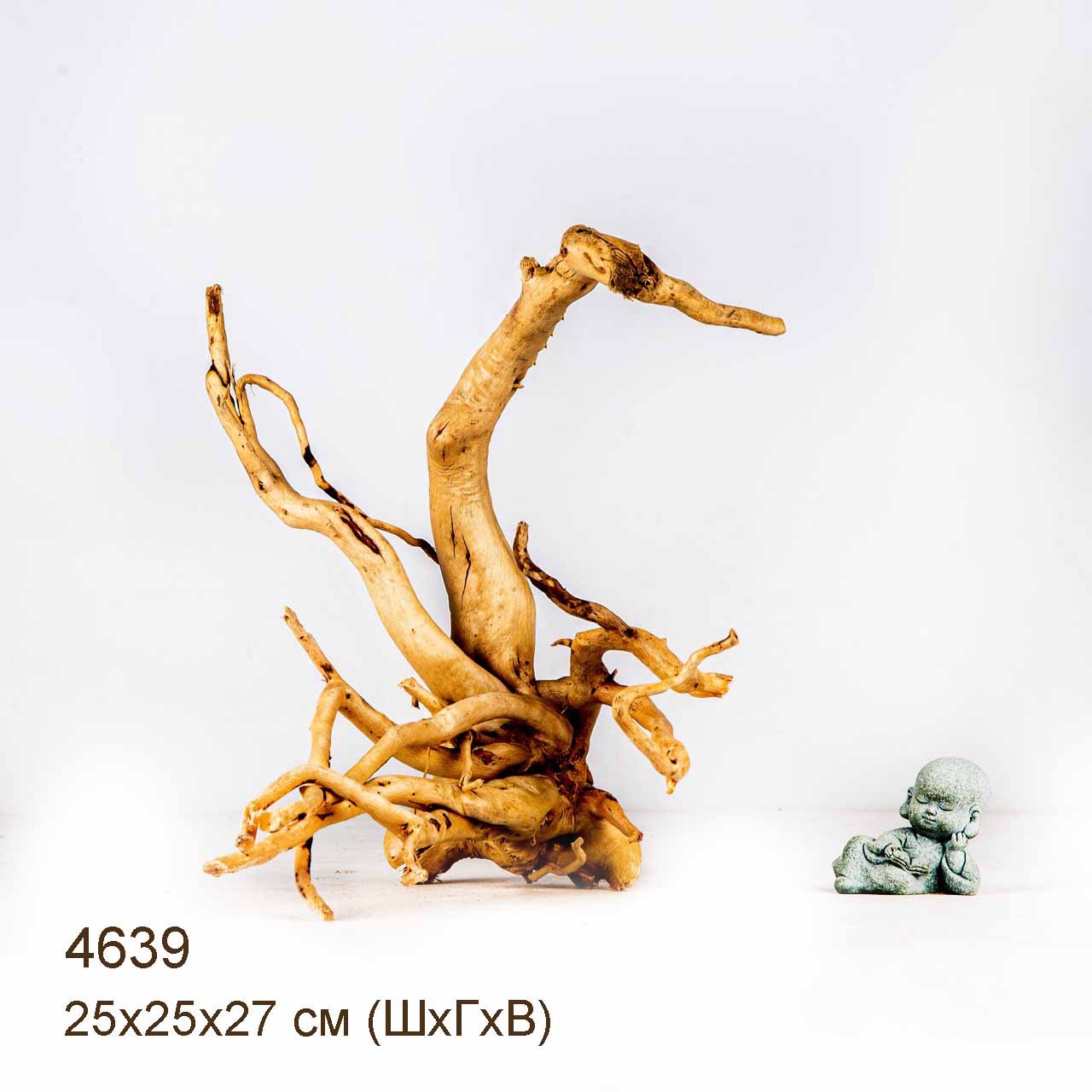 Коряга MASHA BLOOM Корень азалии M - 4639