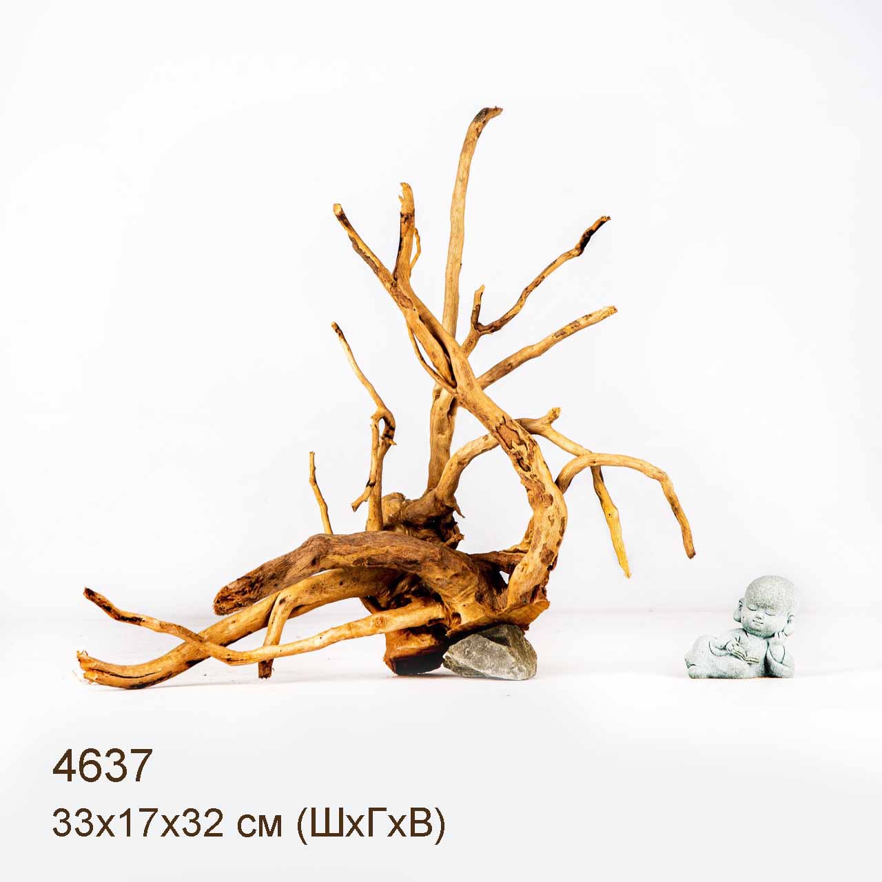 Коряга MASHA BLOOM Корень азалии M - 4637