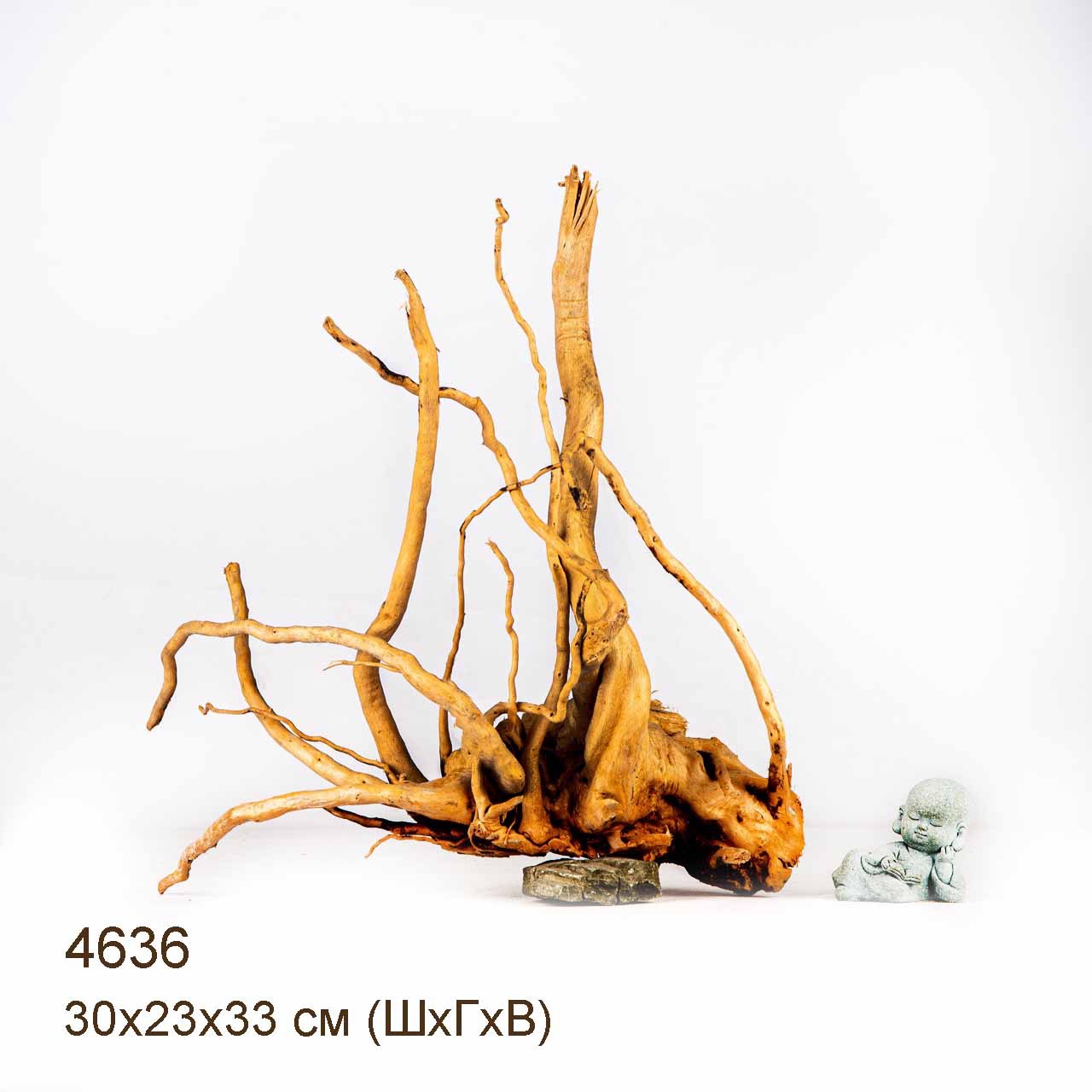 Коряга MASHA BLOOM Корень азалии M - 4636