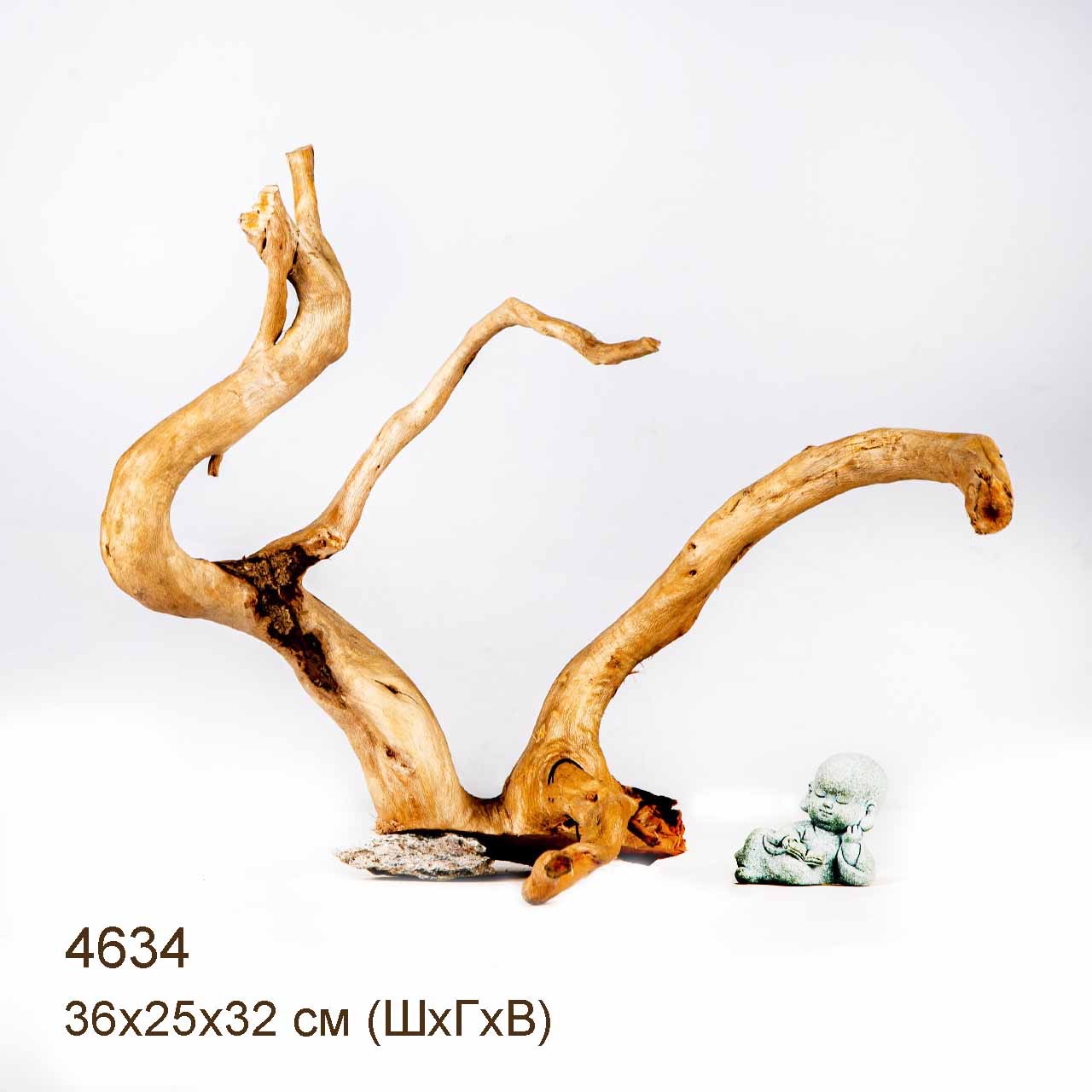 Коряга MASHA BLOOM Корень азалии M - 4634