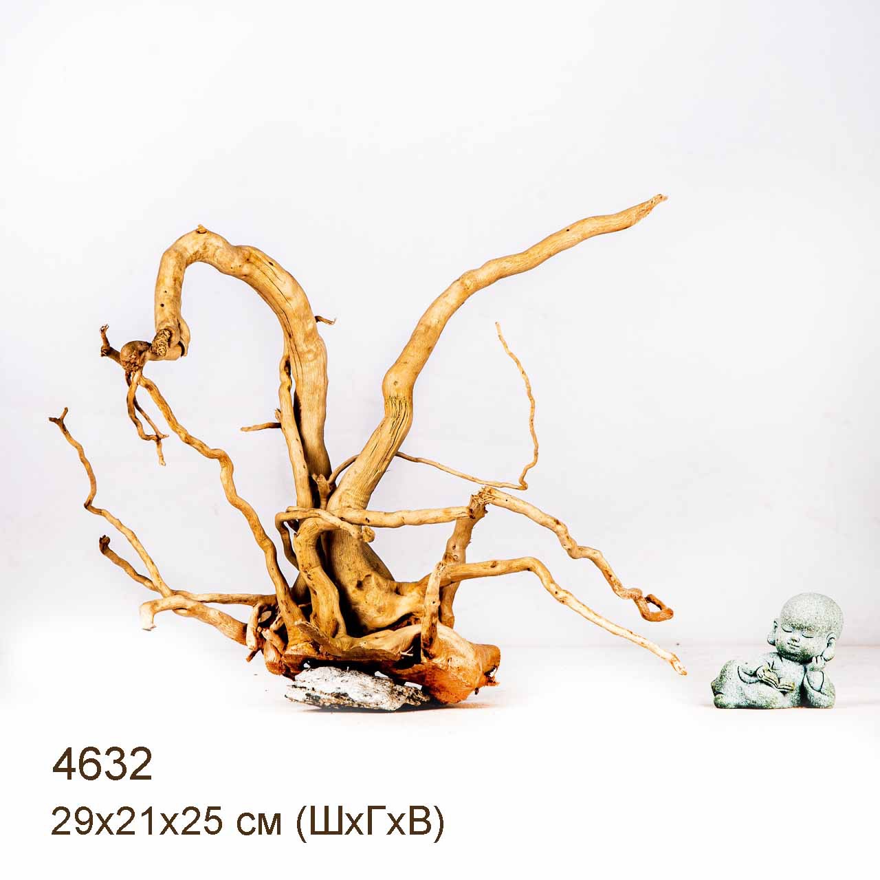 Коряга MASHA BLOOM Корень азалии M - 4632