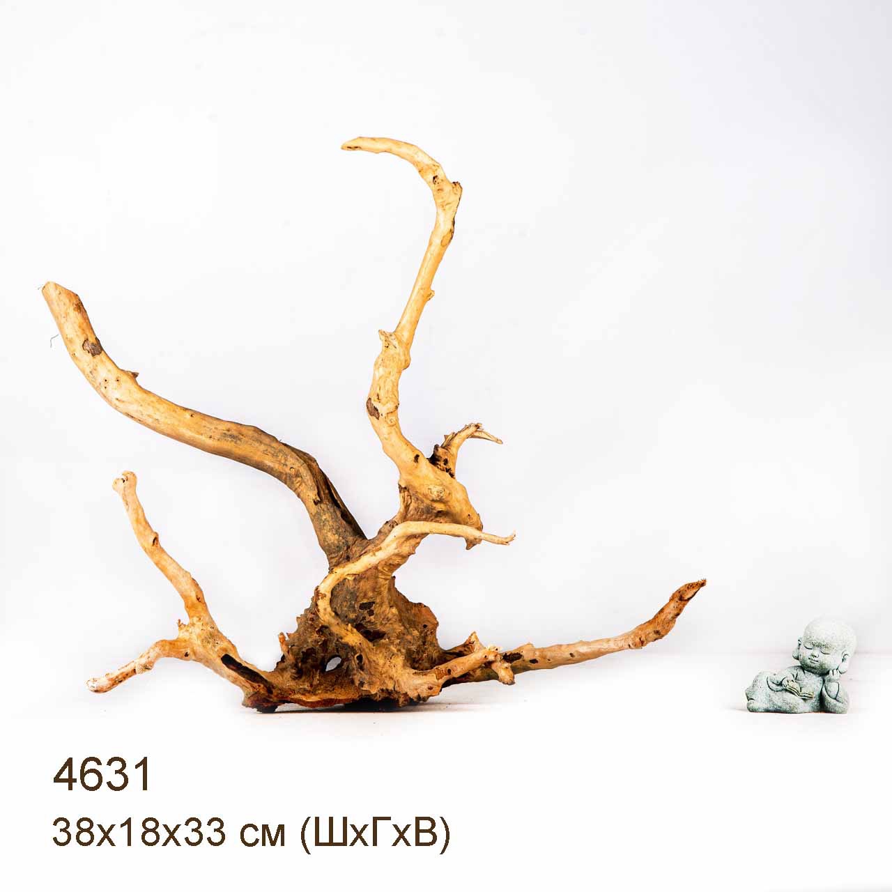 Коряга MASHA BLOOM Корень азалии M - 4631