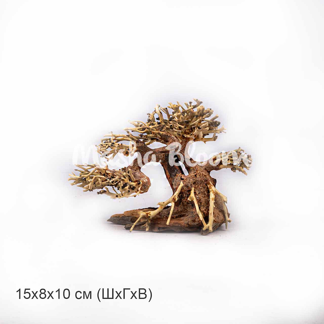 Дерево Masha Bloom Бонсай На ветру XS (влево)