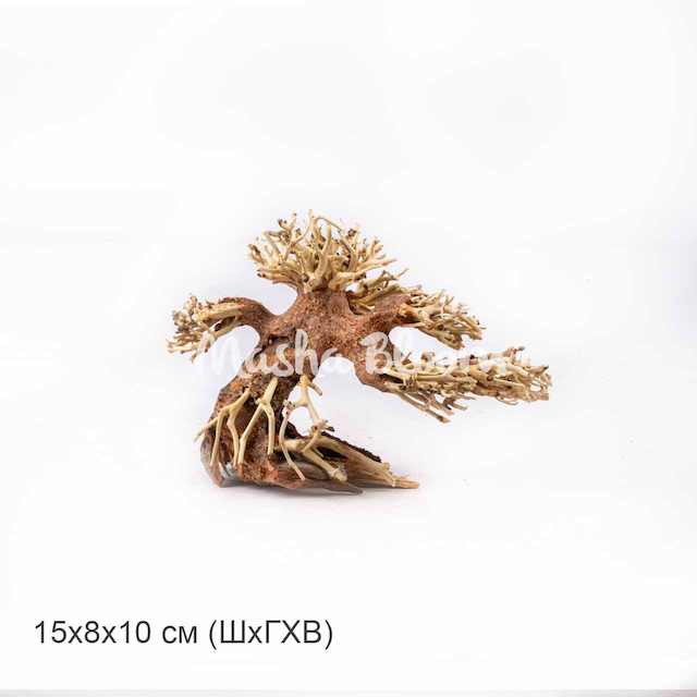 Дерево Masha Bloom Бонсай На ветру XS (вправо)