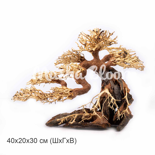 Дерево Masha Bloom Бонсай На ветру L (влево)