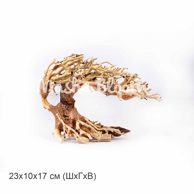 Дерево Masha Bloom Бонсай Ураган S (вправо)