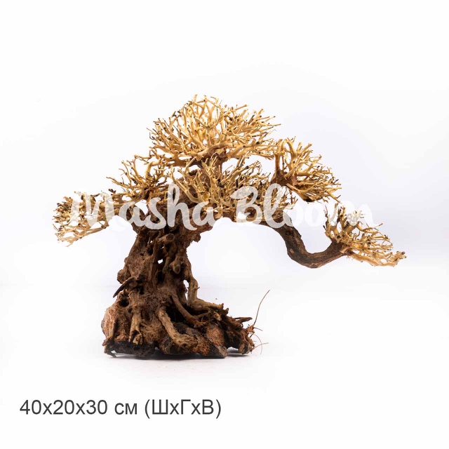 Декорация MASHA BLOOM Дерево Бонсай Могучая сосна