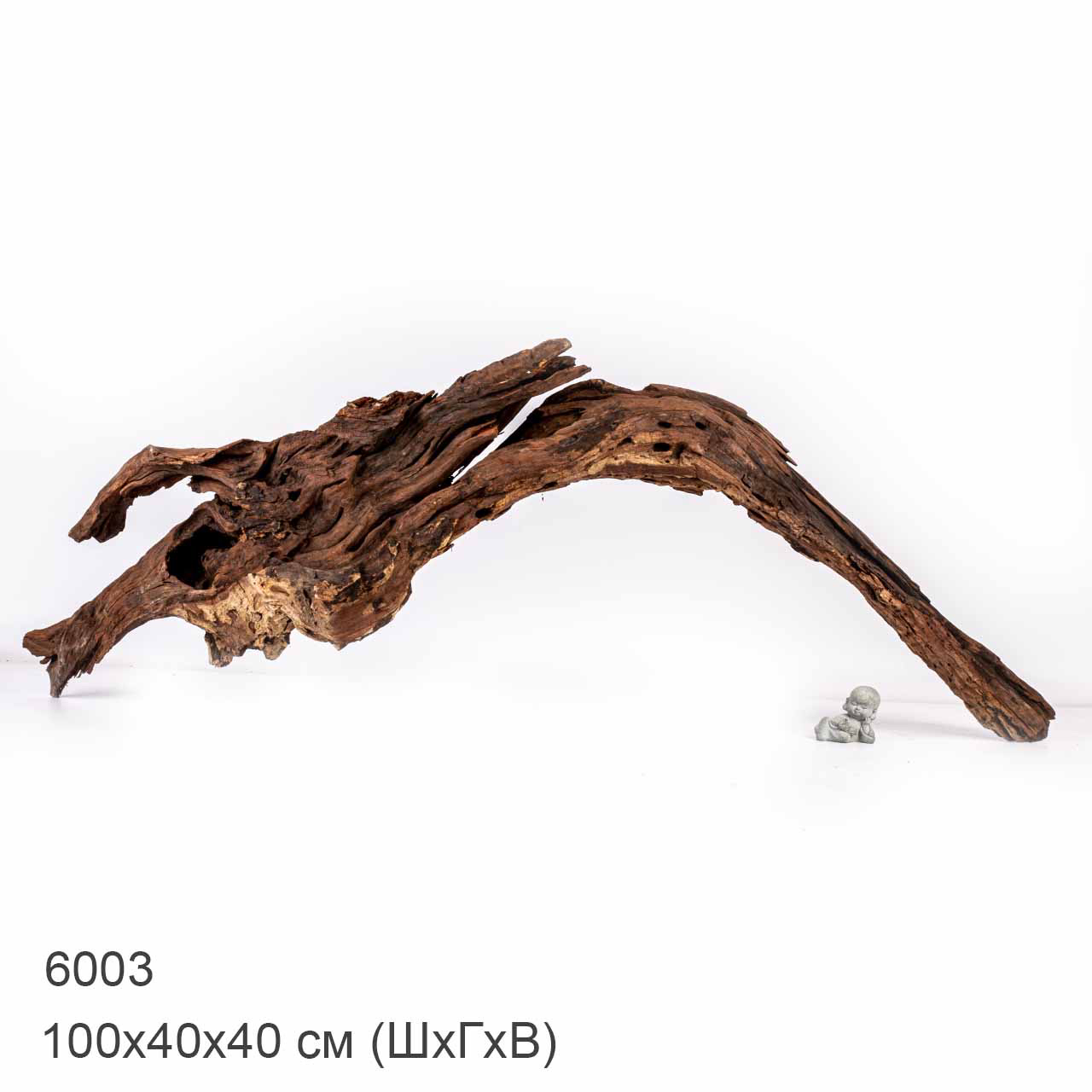 Коряга MASHA BLOOM "Железное дерево" затонувшая мангровая отборная 6003