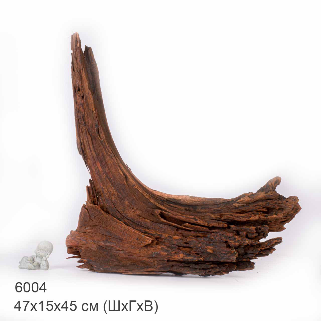 Коряга MASHA BLOOM "Железное дерево" затонувшая мангровая отборная 6004