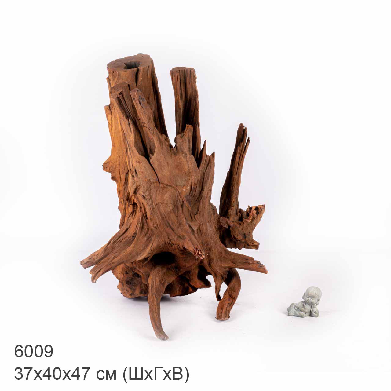 Коряга MASHA BLOOM "Железное дерево" затонувшая мангровая отборная 6009
