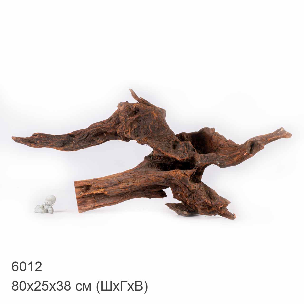 Коряга MASHA BLOOM "Железное дерево" затонувшая мангровая отборная 6012