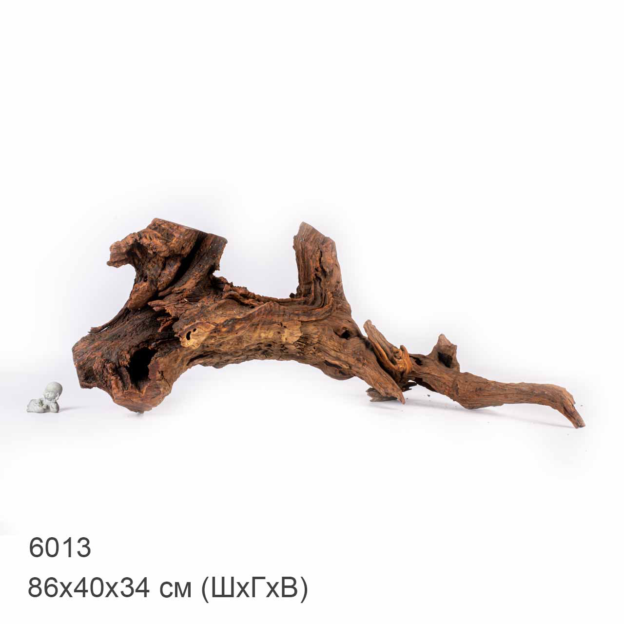 Коряга MASHA BLOOM "Железное дерево" затонувшая мангровая отборная 6013