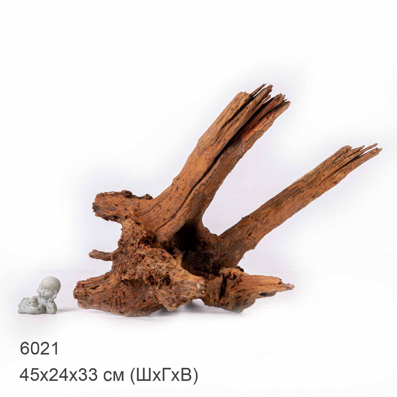 Коряга MASHA BLOOM "Железное дерево" затонувшая мангровая отборная 6021