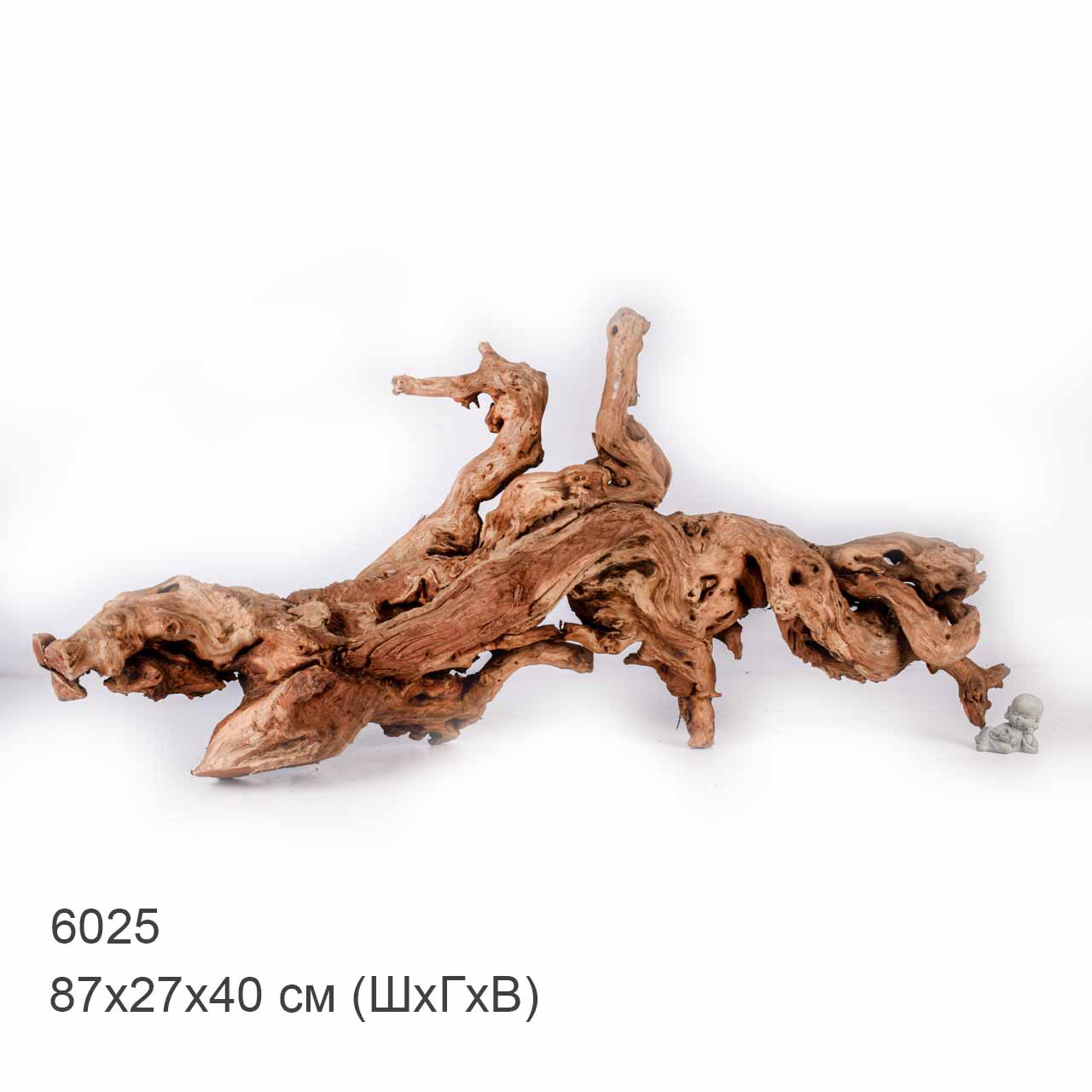 Коряга MASHA BLOOM "Железное дерево" затонувшая мангровая отборная 6025