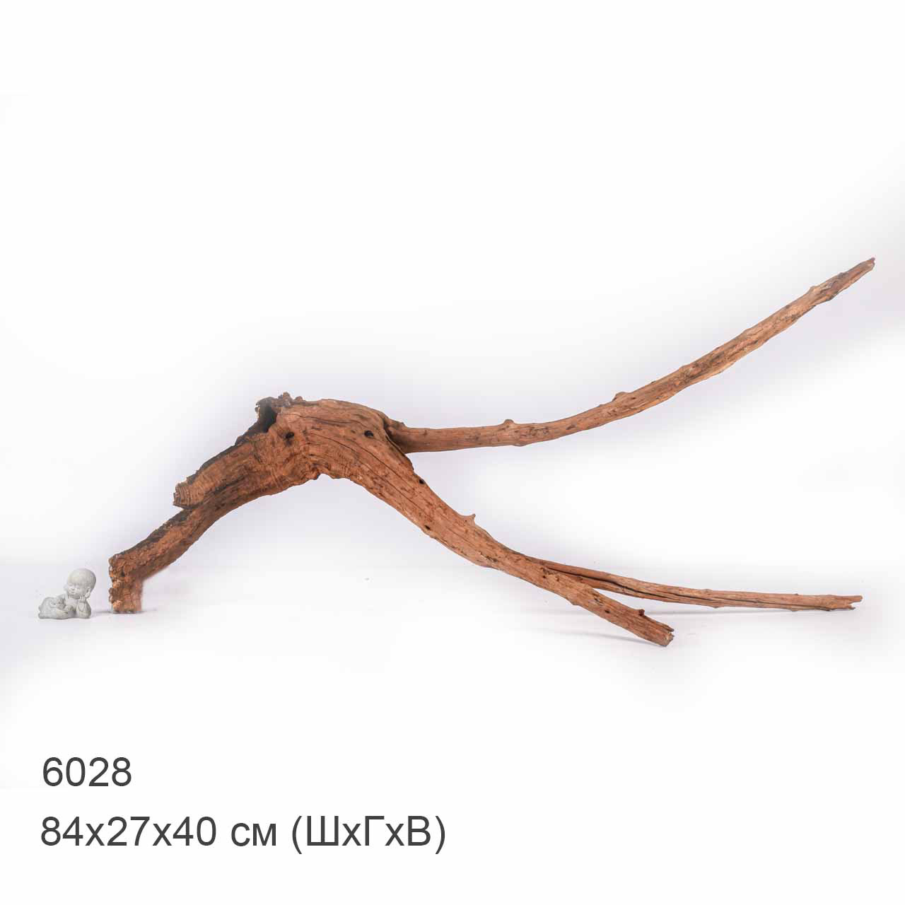 Коряга MASHA BLOOM "Железное дерево" затонувшая мангровая отборная 6028