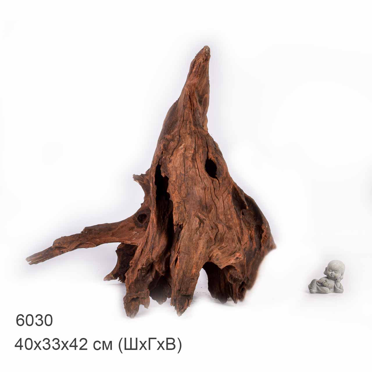 Коряга MASHA BLOOM "Железное дерево" затонувшая мангровая отборная 6030
