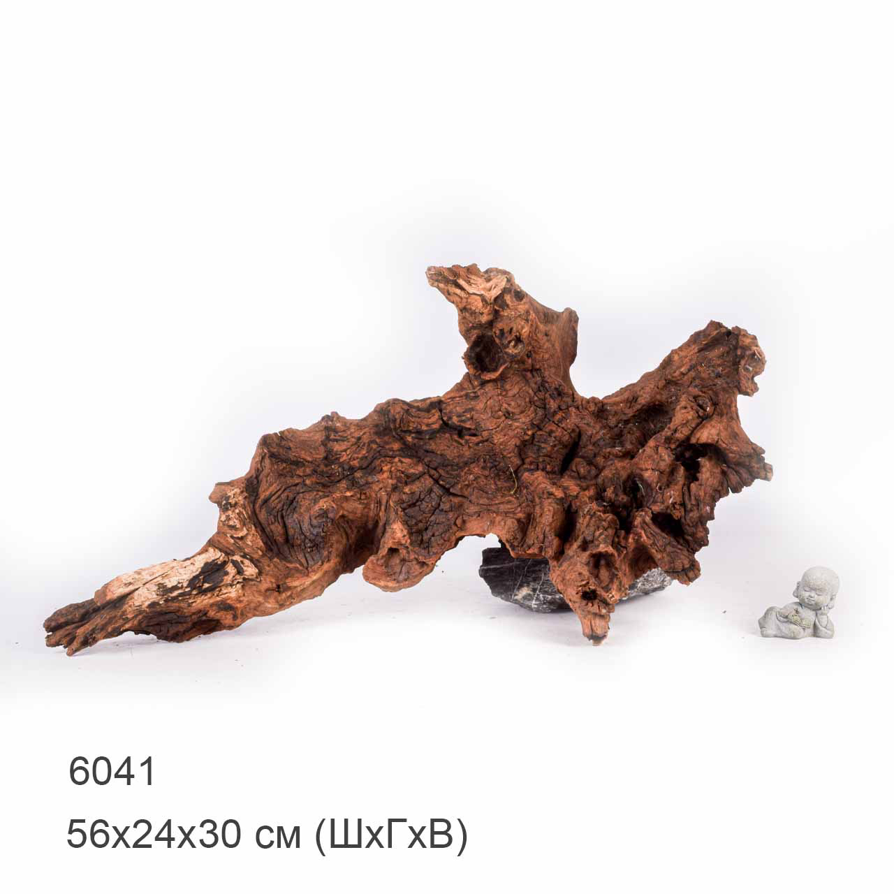 Коряга MASHA BLOOM "Железное дерево" затонувшая мангровая отборная 6041