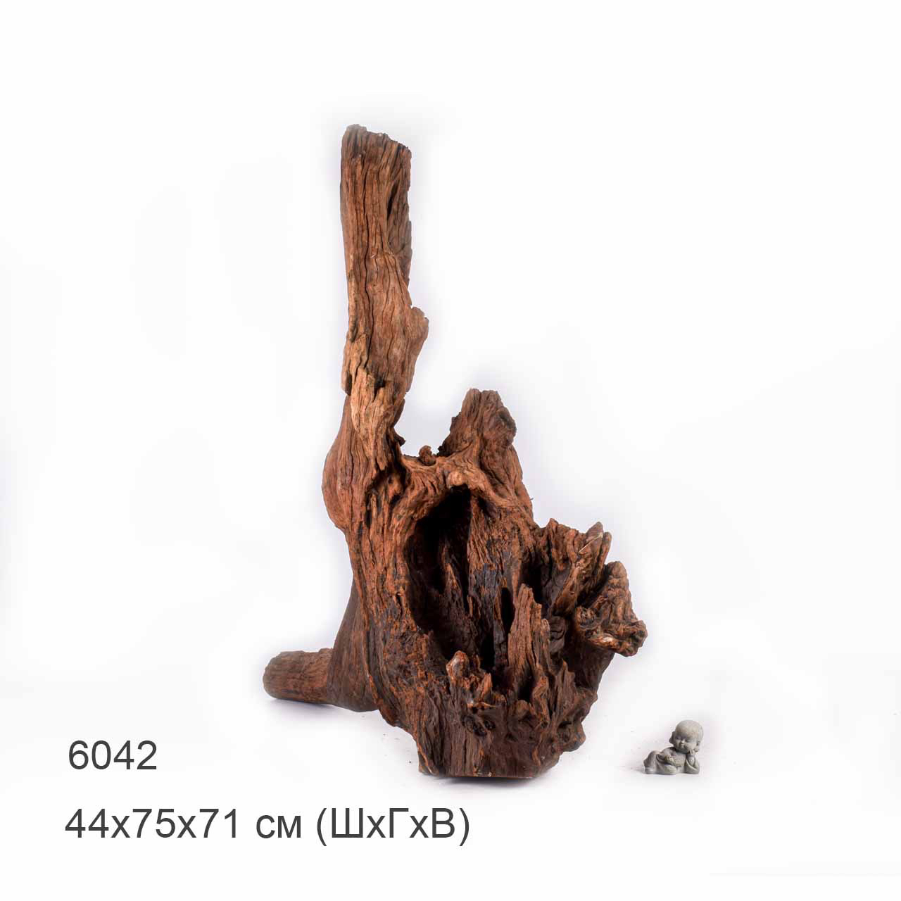 Коряга MASHA BLOOM "Железное дерево" затонувшая мангровая отборная 6042