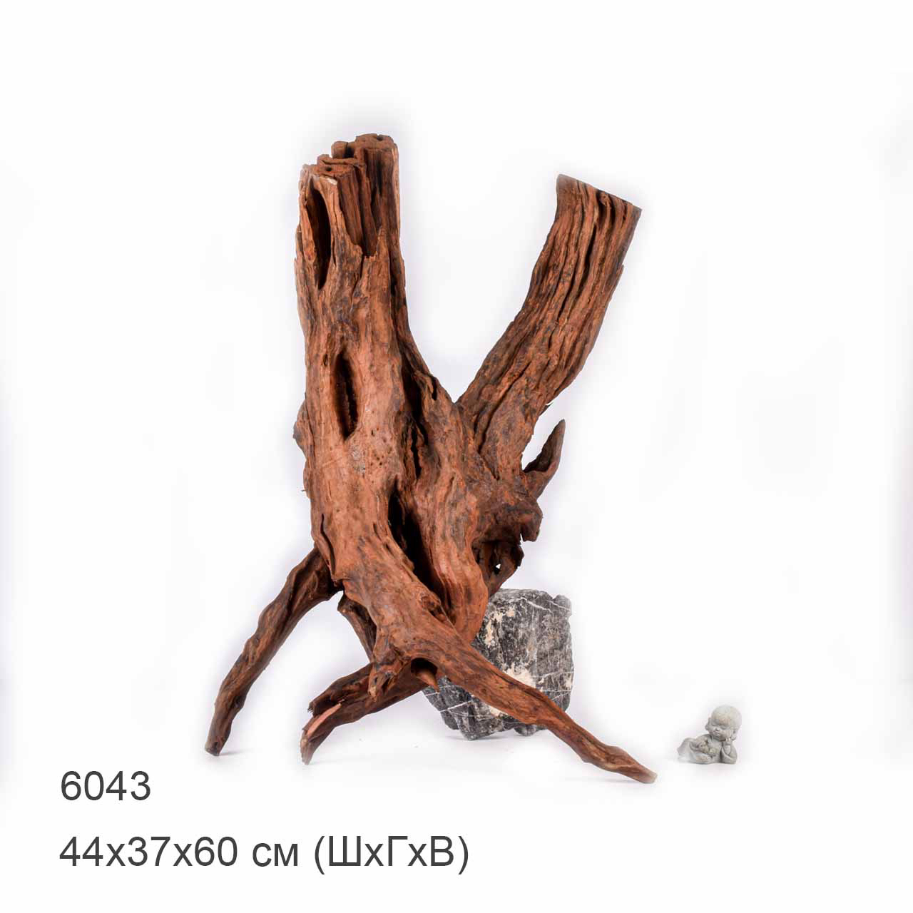 Коряга MASHA BLOOM "Железное дерево" затонувшая мангровая отборная 6043