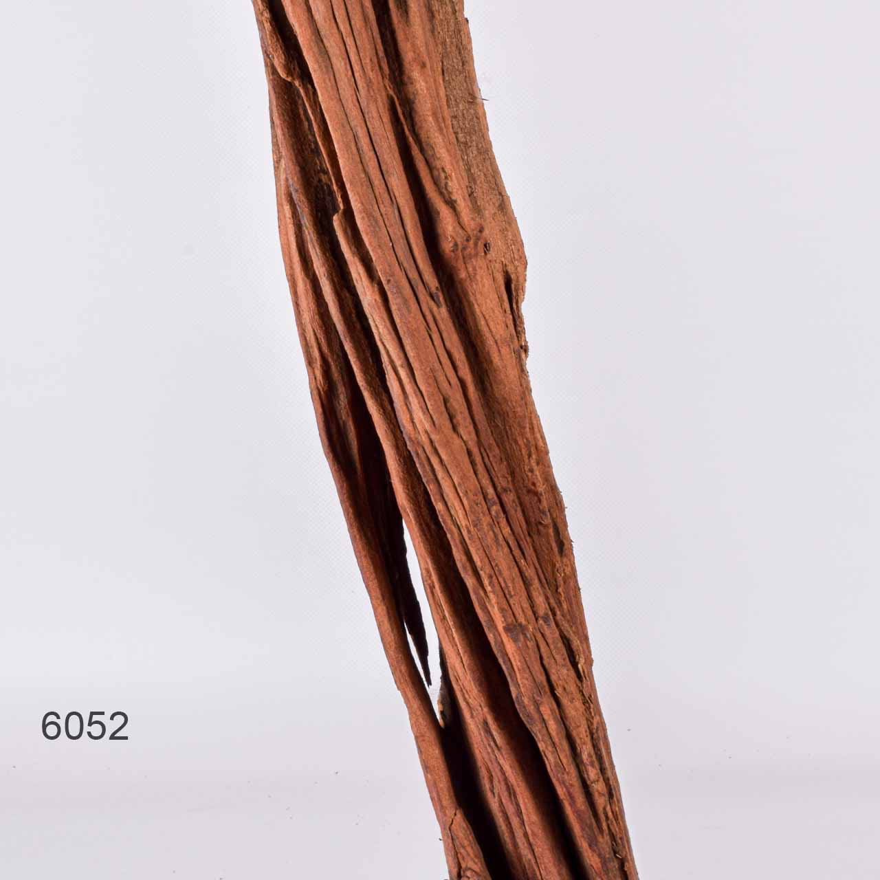 Коряга MASHA BLOOM "Железное дерево" затонувшая мангровая отборная 6052