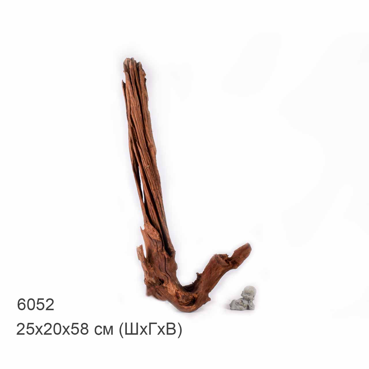 Коряга MASHA BLOOM "Железное дерево" затонувшая мангровая отборная 6052