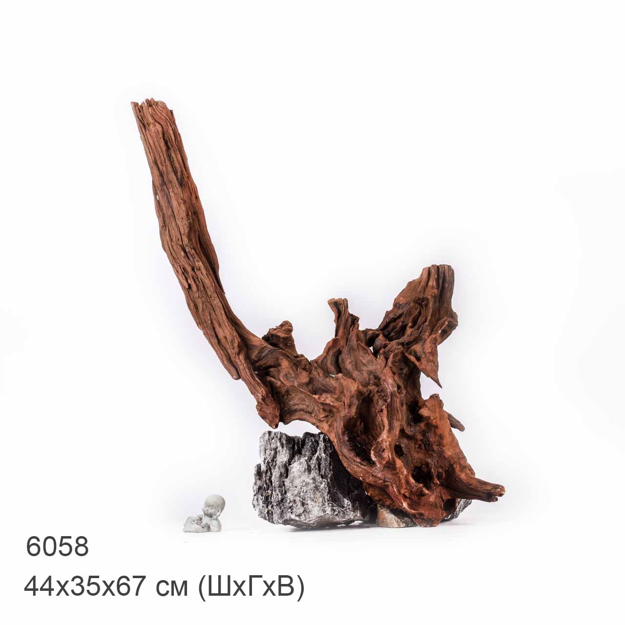 Коряга MASHA BLOOM "Железное дерево" затонувшая мангровая отборная 6058