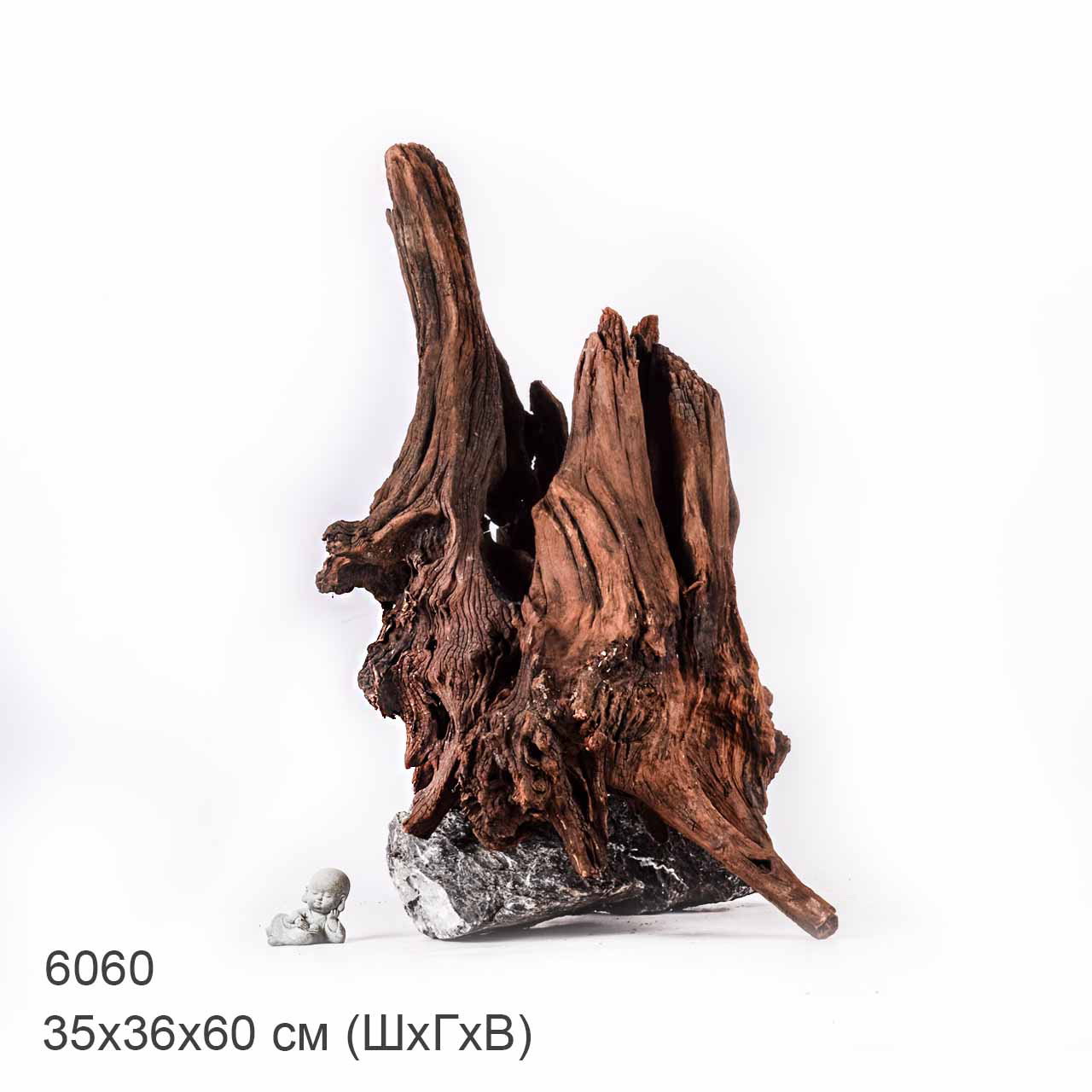 Коряга MASHA BLOOM "Железное дерево" затонувшая мангровая отборная 6060