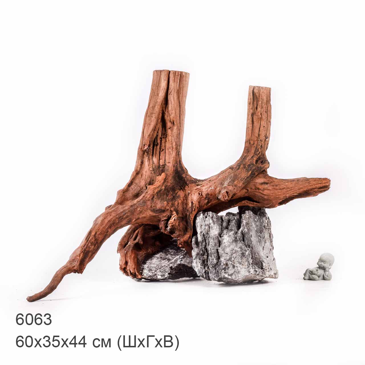 Коряга MASHA BLOOM "Железное дерево" затонувшая мангровая отборная 6063