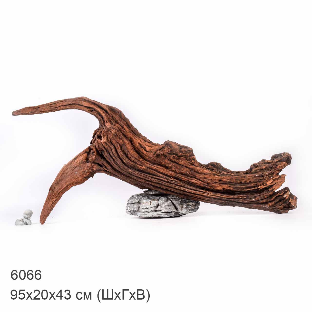 Коряга MASHA BLOOM "Железное дерево" затонувшая мангровая отборная 6066