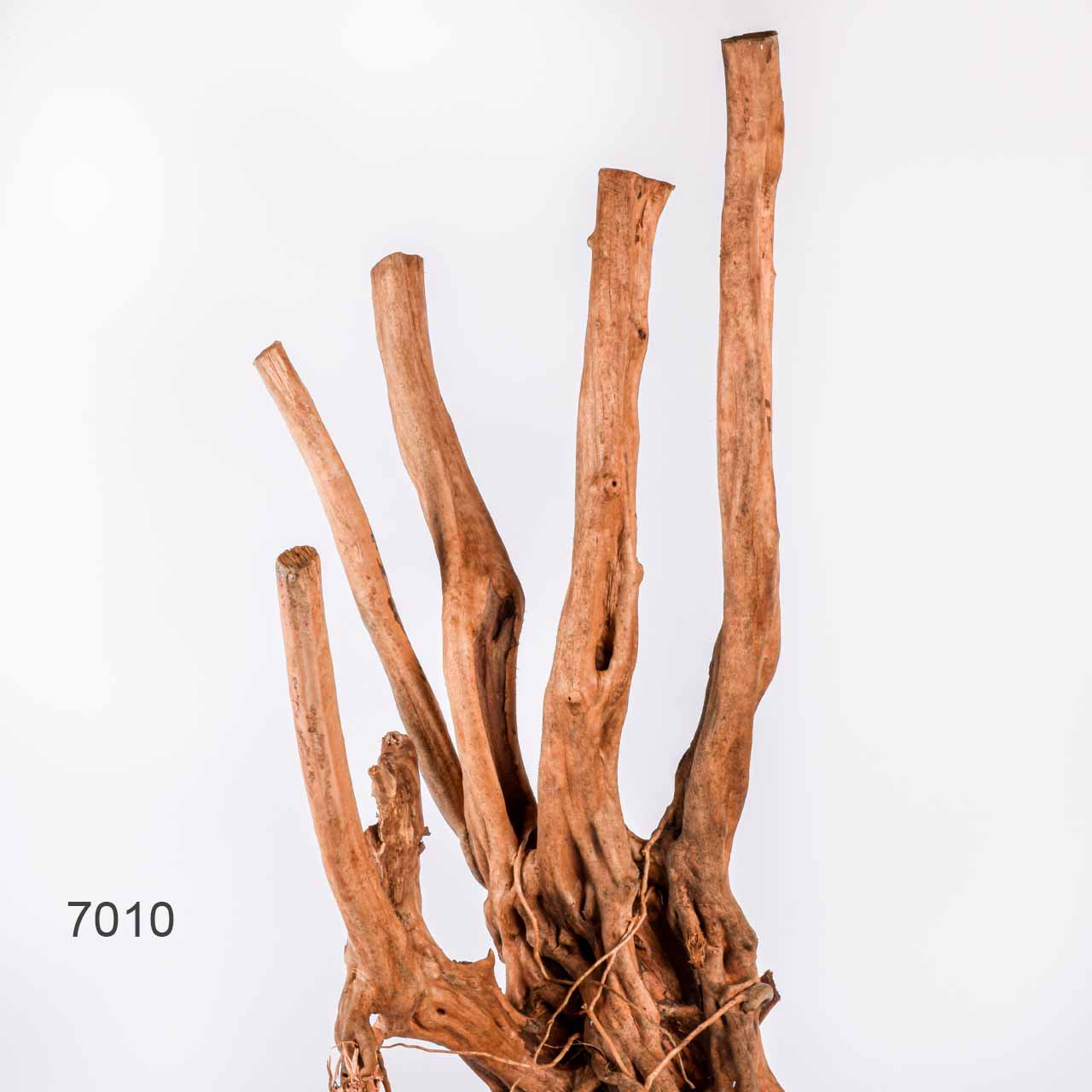 Коряга MASHA BLOOM Пенёчек с корнями 7010