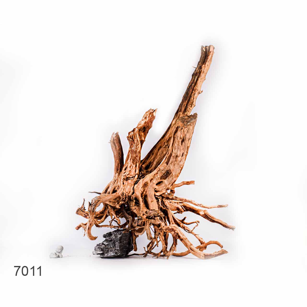 Коряга MASHA BLOOM Пенёчек с корнями 7011