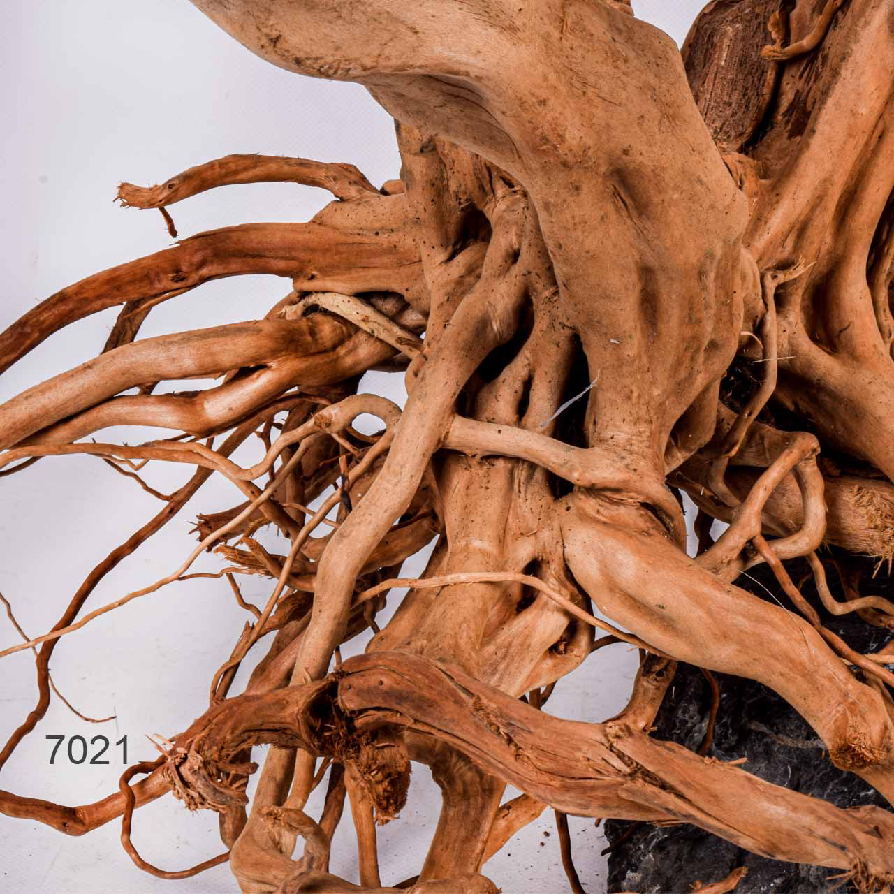 Коряга MASHA BLOOM Пенёчек с корнями 7021