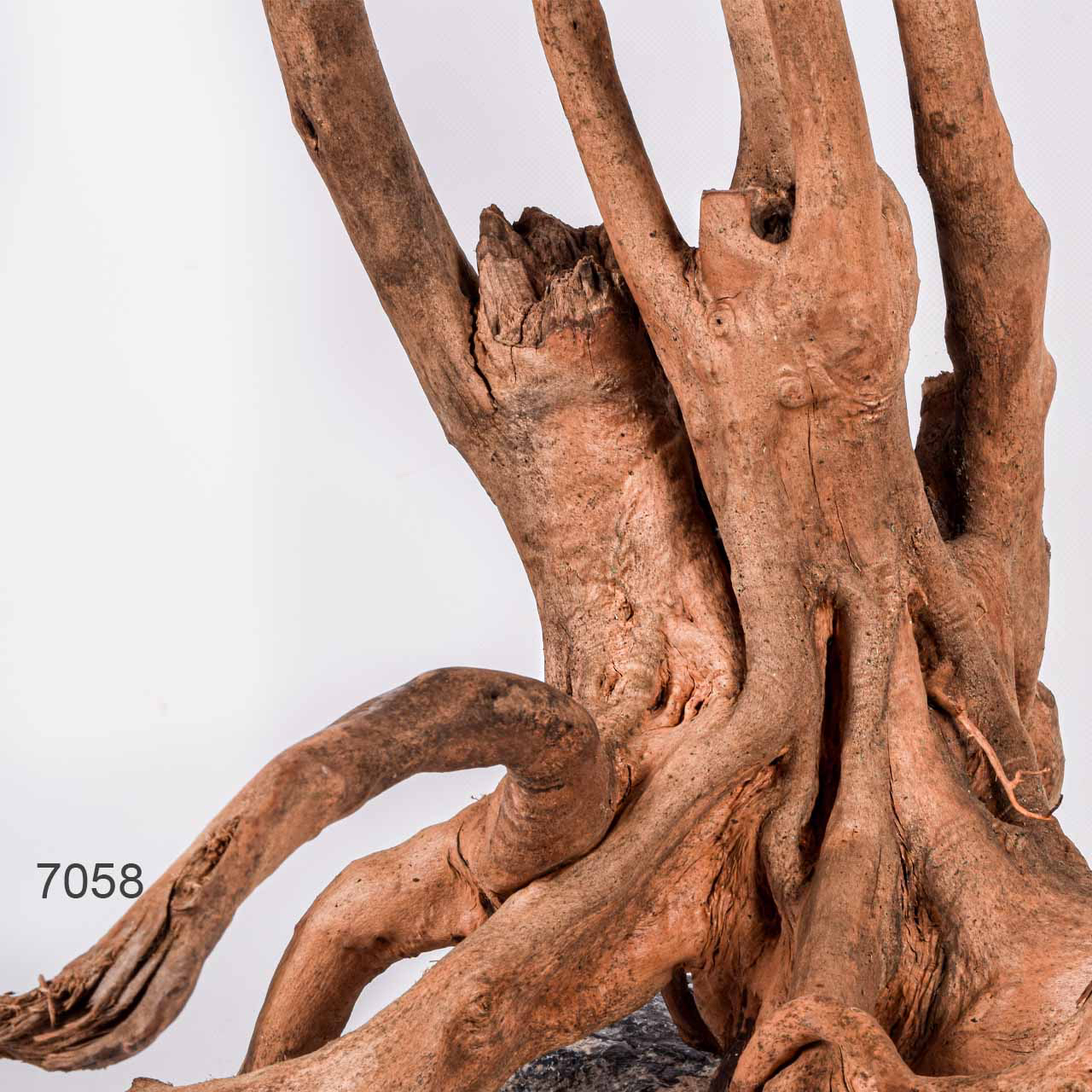 Коряга MASHA BLOOM Пенёчек с корнями 7058