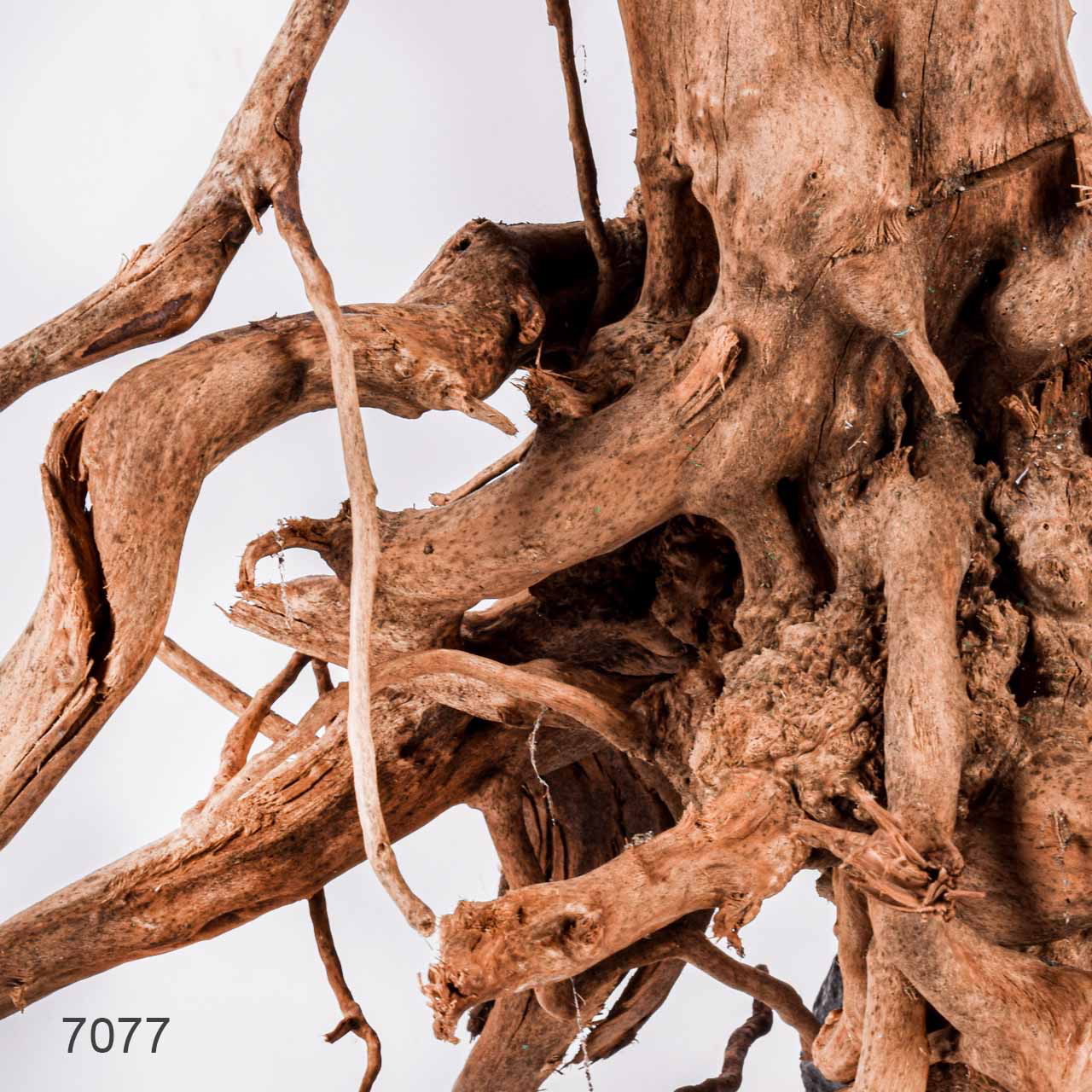 Коряга MASHA BLOOM Пенёчек с корнями 7077