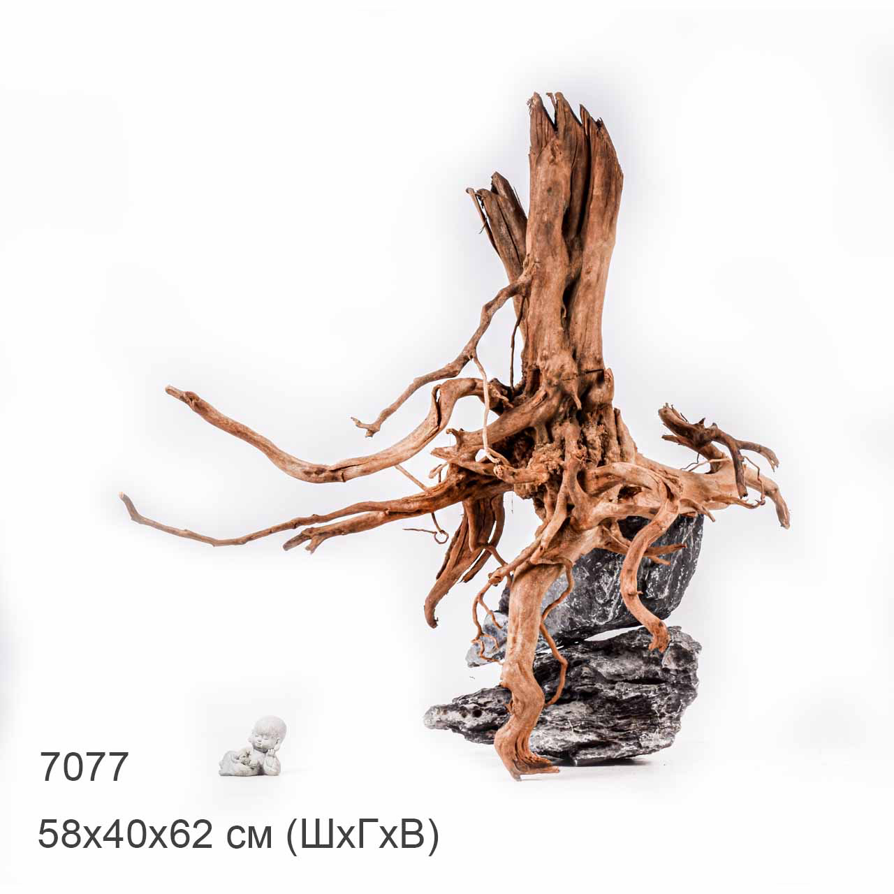 Коряга MASHA BLOOM Пенёчек с корнями 7077