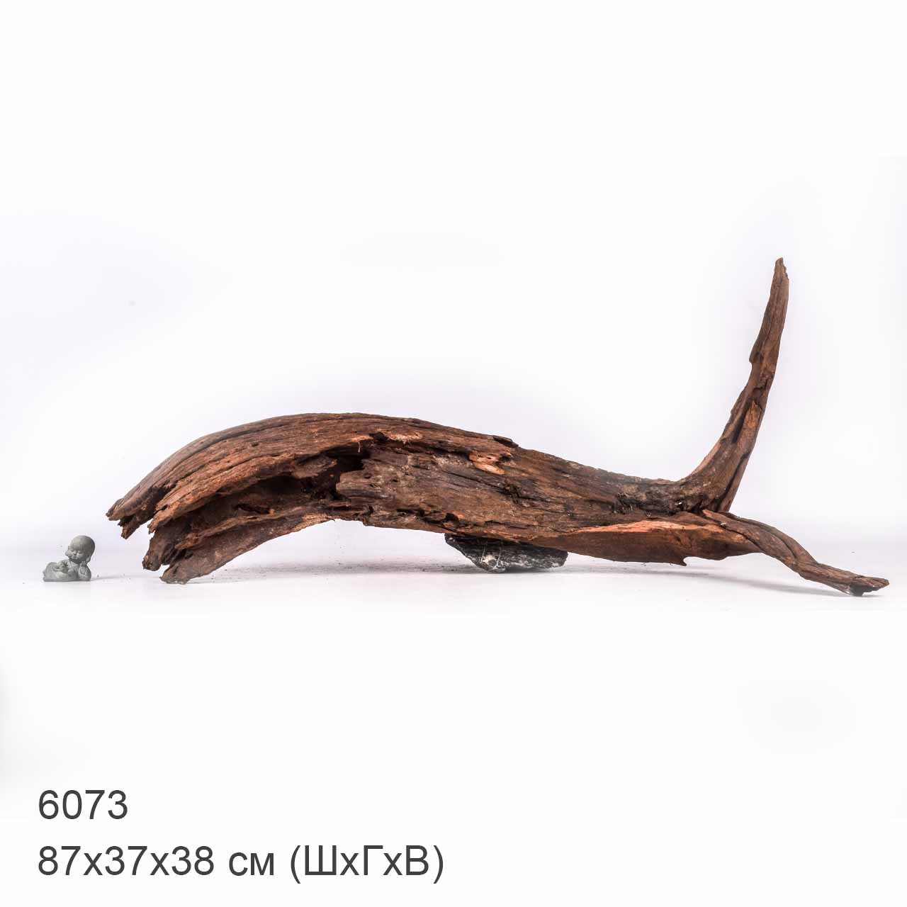 Коряга MASHA BLOOM "Железное дерево" затонувшая мангровая отборная 6073