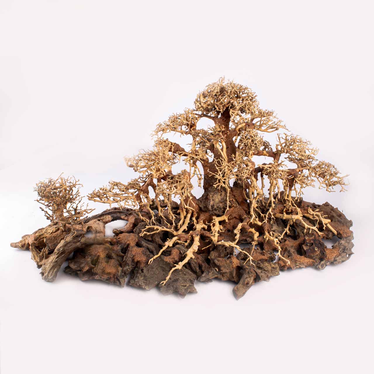 Композиция Бонсай MASHA BLOOM У Лукоморья