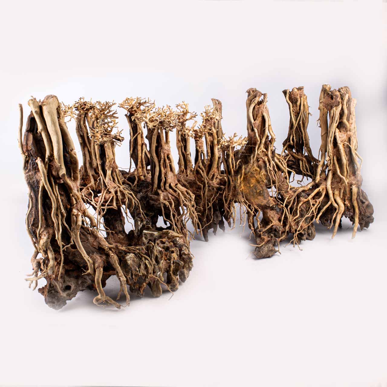 Композиция Бонсай MASHA BLOOM Джунгли