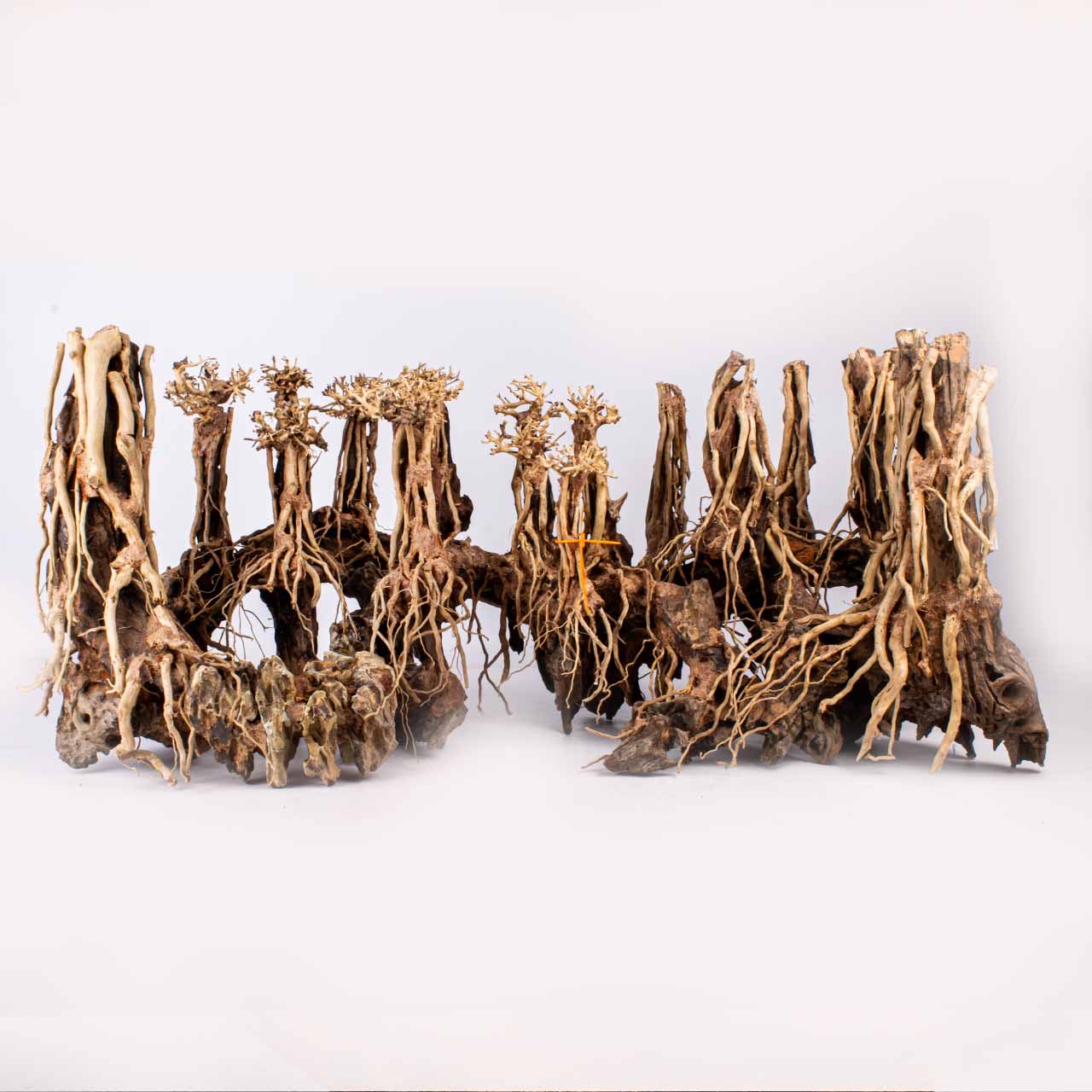 Композиция Бонсай MASHA BLOOM Джунгли