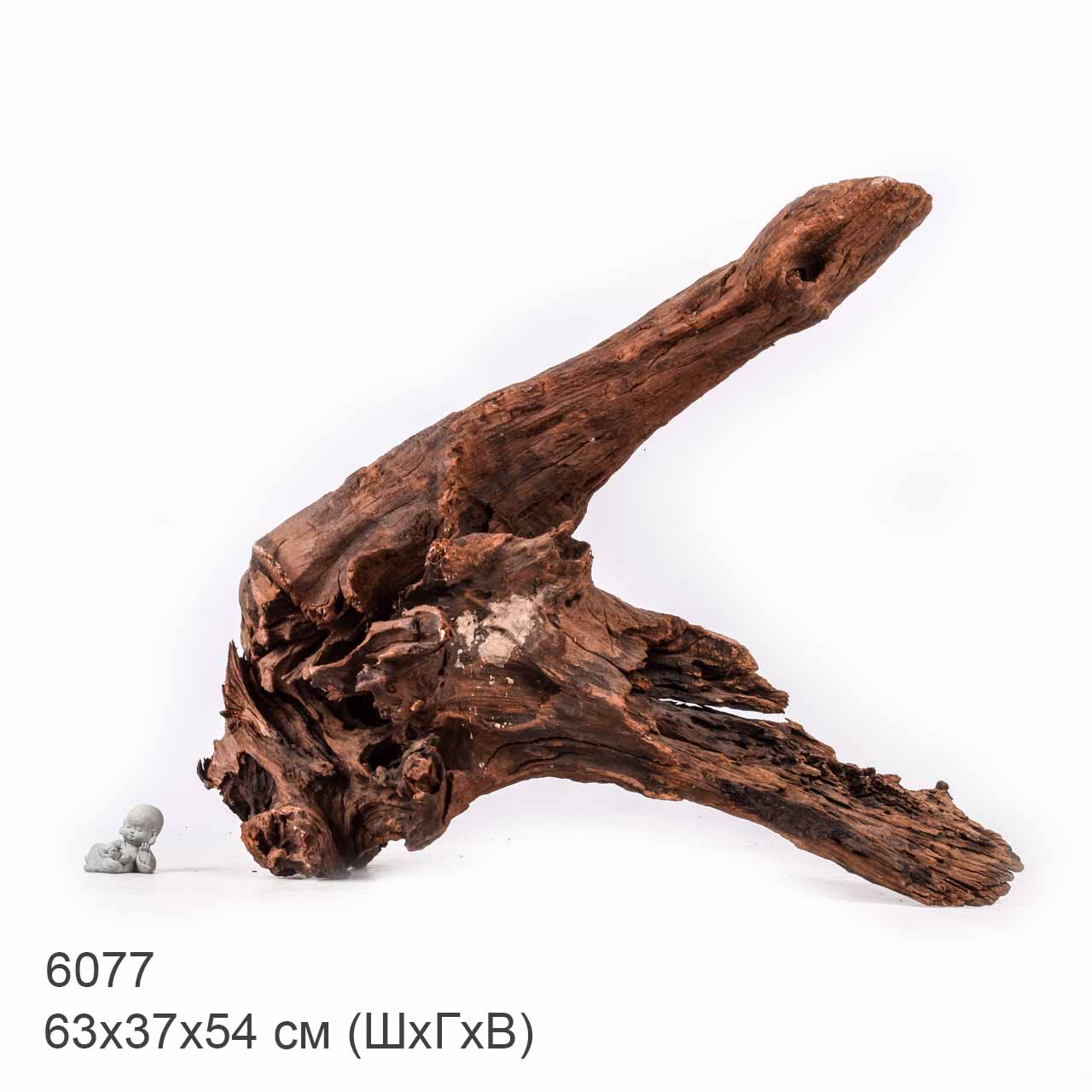 Коряга MASHA BLOOM "Железное дерево" затонувшая мангровая отборная 6077