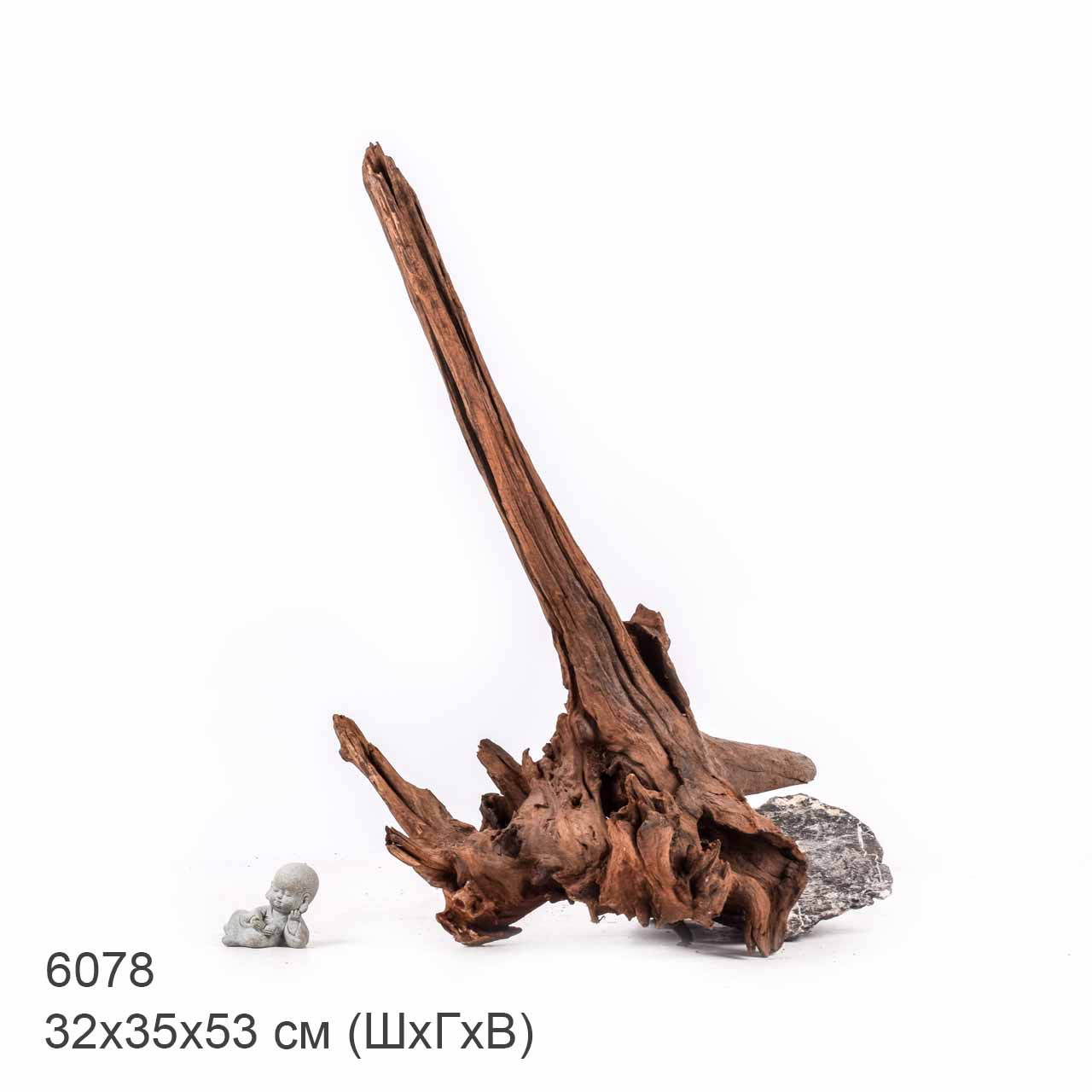 Коряга MASHA BLOOM "Железное дерево" затонувшая мангровая отборная 6078