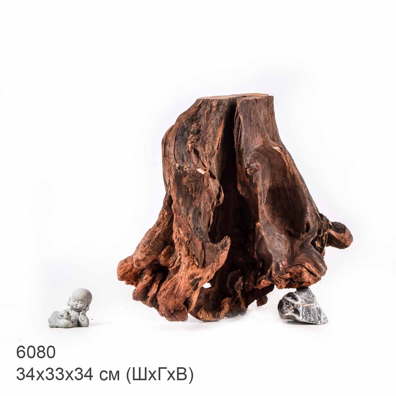 Коряга MASHA BLOOM "Железное дерево" затонувшая мангровая отборная 6080