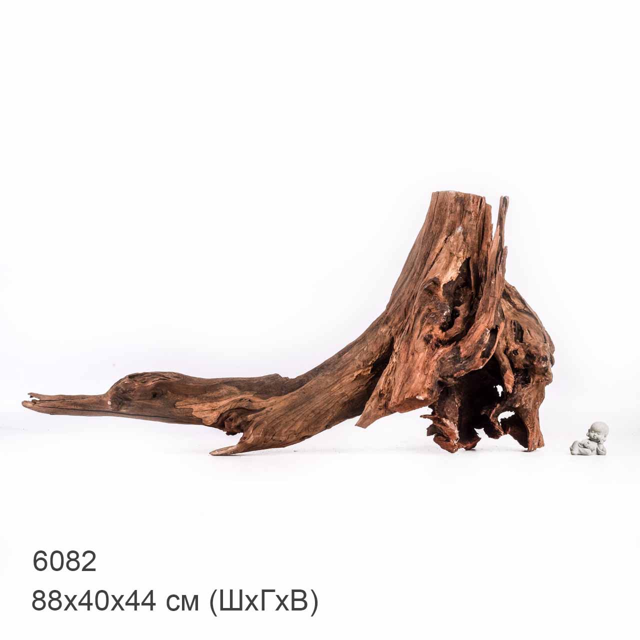 Коряга MASHA BLOOM "Железное дерево" затонувшая мангровая отборная 6082