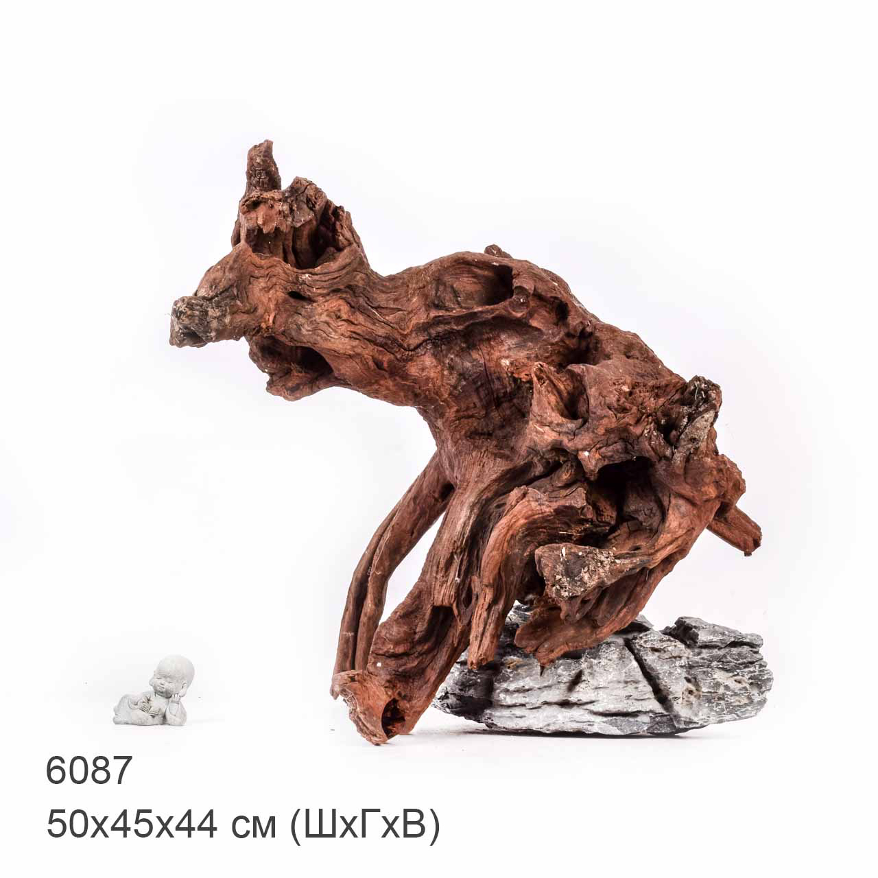 Коряга MASHA BLOOM "Железное дерево" затонувшая мангровая отборная 6087