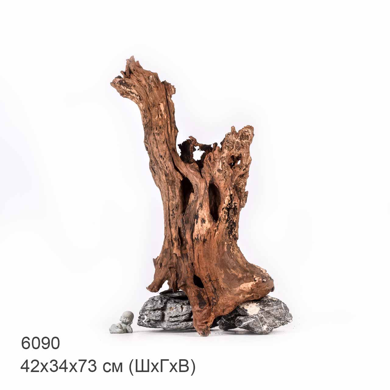 Коряга MASHA BLOOM "Железное дерево" затонувшая мангровая отборная 6090