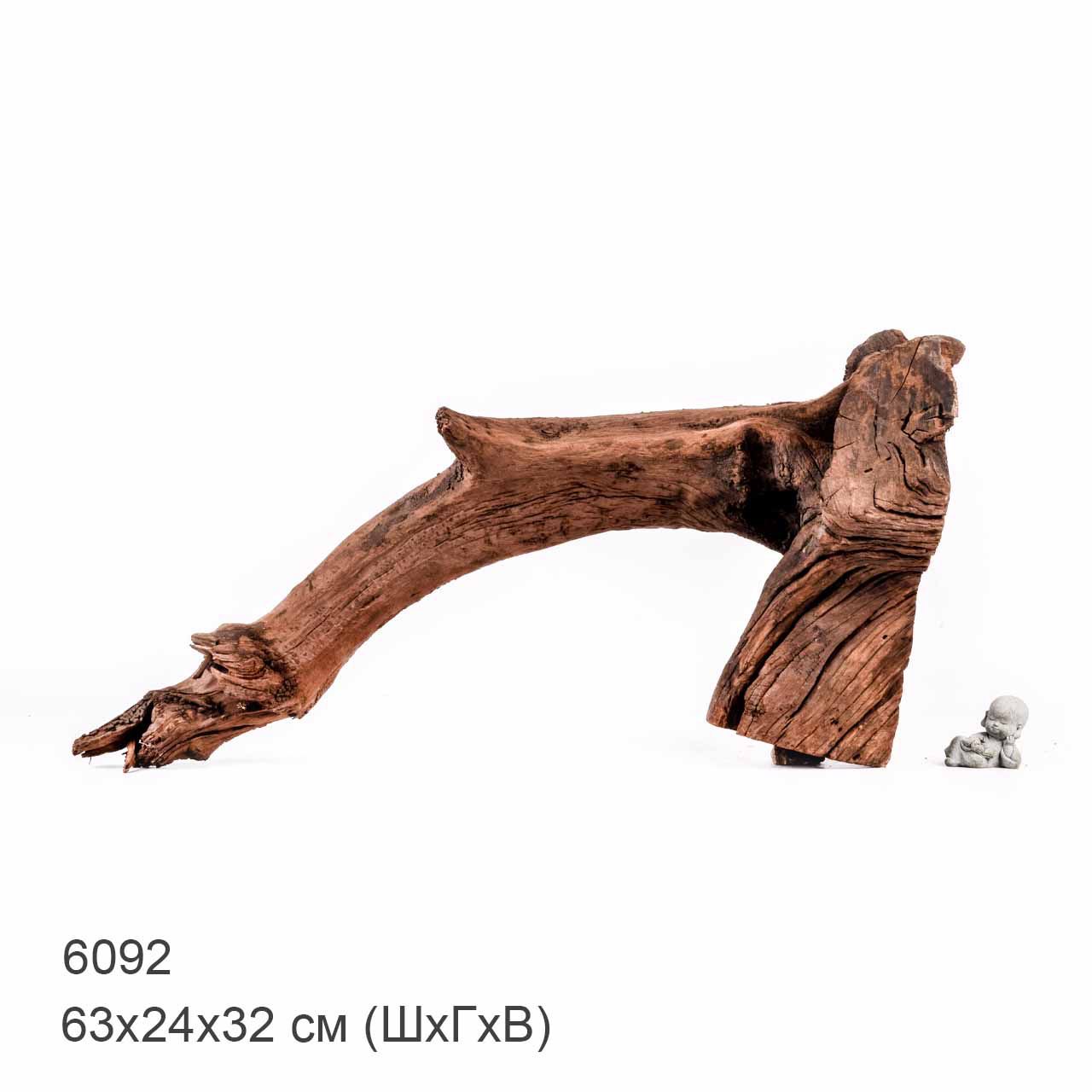 Коряга MASHA BLOOM "Железное дерево" затонувшая мангровая отборная 6092