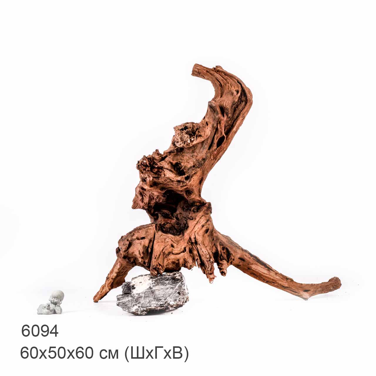 Коряга MASHA BLOOM "Железное дерево" затонувшая мангровая отборная 6094