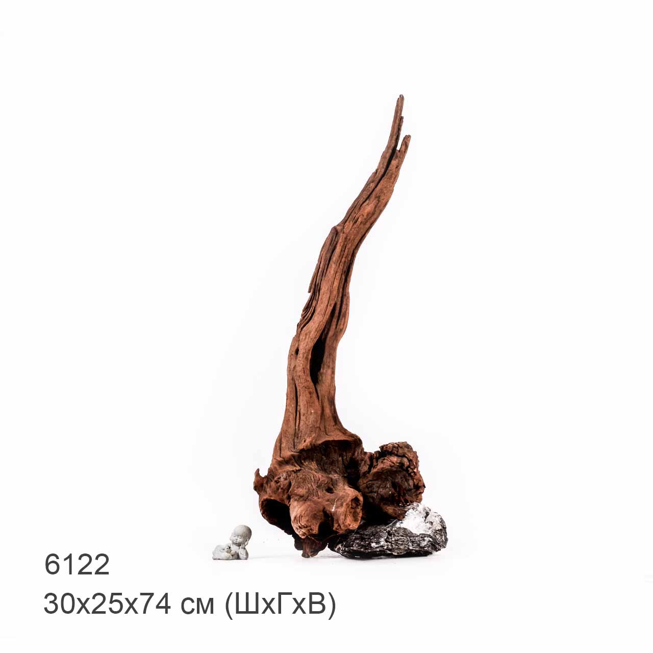 Коряга MASHA BLOOM "Железное дерево" затонувшая мангровая отборная 6122